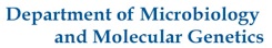 Department of Microbiology and Molecular Genetics