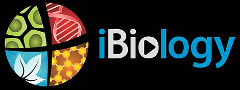 iBiology: Bringing the world's best biology to you